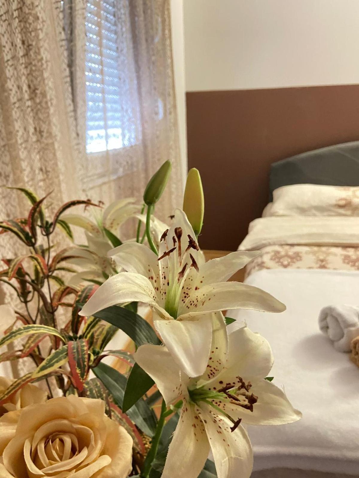 Villa Esra 莫斯塔尔 外观 照片